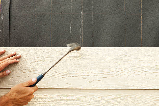 Best Siding Removal and Disposal  in Ford Heights, IL